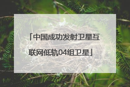 中国成功发射卫星互联网低轨04组卫星